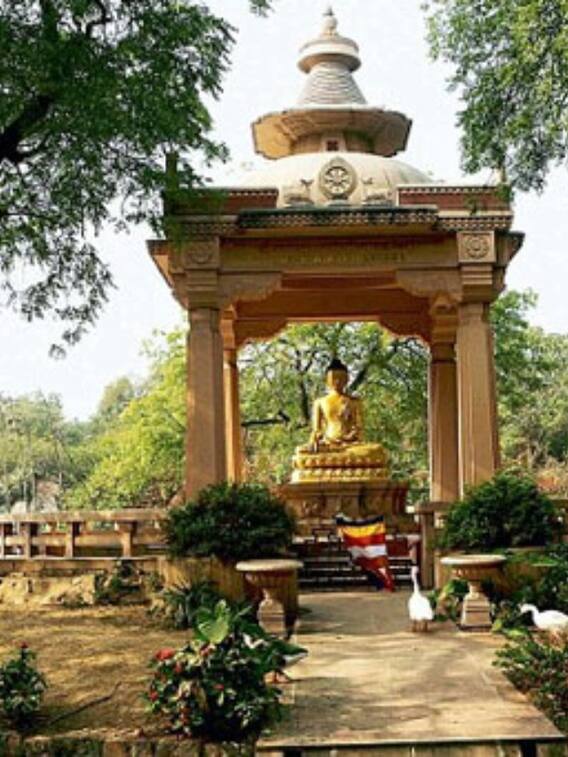 पिकनिक के लिए बेस्ट है दिल्ली का ये पार्क