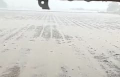 Rajkot Rain: રાજકોટના પડધરી તાલુકાના ગામડાઓમાં ગાજવીજ સાથે 2  ઈંચ જેટલો વરસાદ ખાબક્યો 