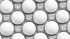 Goose Eggs Benefits: মুরগির থেকেও বেশি গুণ হাঁসের ডিমে ! কেন খাবেন ?