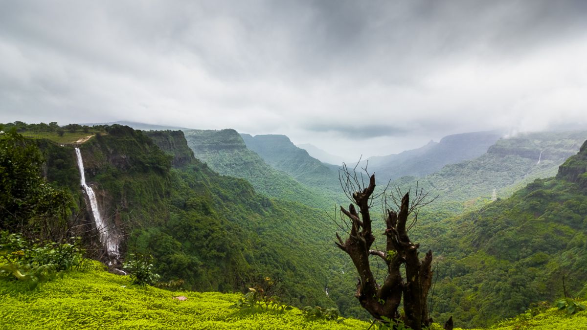 Travel :  महाराष्ट्रात चक्क फॉरेनचा अनुभव देतात 'हे' धबधबे! पावसाळ्यातील सौंदर्य पाहाल तर स्वर्गसुख अनुवभाल