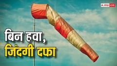 ​Global Wind Day क्यों मनाया जाता है? भविष्य के लिए बड़े काम की है ये बात