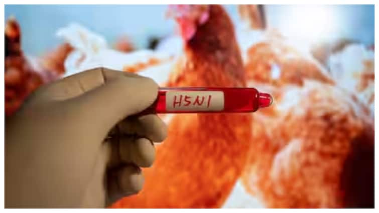 bird flu detected human in West Bengal World Health Organization Bird Flu In India: भारत में 4 साल के बच्चे को बर्ड फ्लू, WHO ने की पुष्टि, जानें कितनी खतरनाक है ये बीमारी