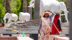 North India Continues To Reel Under Scorching Temperatures — IN PICS