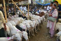 Bakra Eid: बकरीद पर ‘अल्लाह’ और ‘मोहम्मद’ का नाम लिखे बकरों की भारी डिमांड, एक बकरे की कीमत 10 लाख रुपये