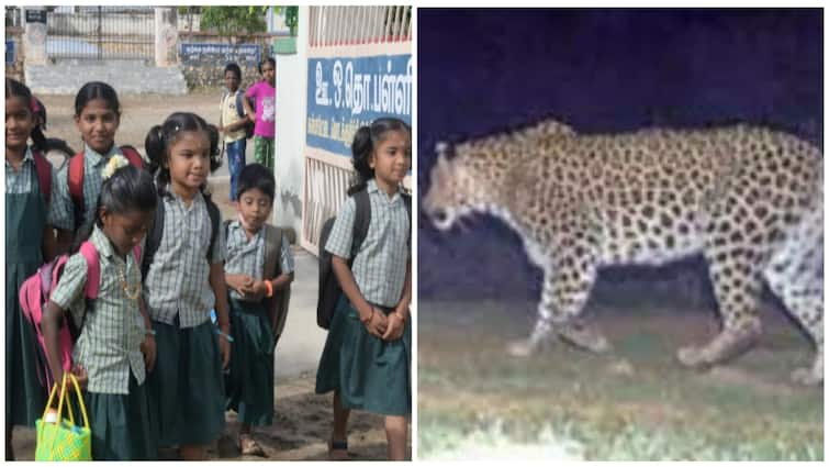 tirupatur district schools leave leopards fear collector order சிறுத்தை நடமாட்டம்! திருப்பத்தூரில் பள்ளிகளுக்கு விடுமுறை; காரில் சிக்கித்தவித்த 5 பேர் மீட்பு