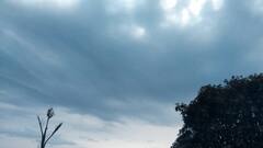 बस्तरवासियों को मानसून के लिए करना पड़ सकता है थोड़ा और इंतजार, गर्मी और उमस से परेशान