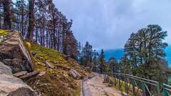 Travel : पावसात स्वर्गाप्रमाणे सुंदर दिसतात भारतातील 'ही 10 ठिकाणे, असे दृश्य तुम्ही यापूर्वी कधीही पाहीलं नसेल