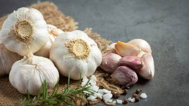 Eating a clove of garlic at night has amazing benefits, it will also save you from this deadly disease Garlic Benefits: રાત્રે એક લસણ ચાવી ખાવાના છે અદભૂત ફાયદા, આ જીવલેણ રોગથી પણ થશે બચાવ