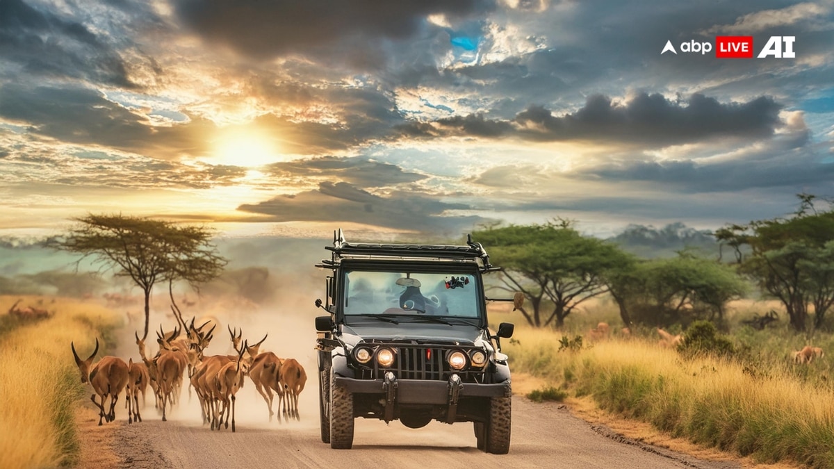 Jeep Safari To Horse Riding Safari: Know Different Types For Adventure Enthusiasts