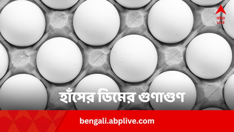 Goose Eggs Benefits: মুরগির থেকেও বেশি গুণ হাঁসের ডিমে ! কেন খাবেন ?