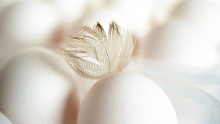 মুরগির ডিমের চারগুণ বেশি কোলেস্টেরল থাকে হাঁসের ডিমে। তাই হাঁসের ডিম হার্টের রোগীদের বুঝেশুনে খাওয়া ভাল। (ছবি ঋণ - পিক্স্যাবে)