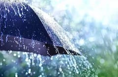 कुठं पडणार पाऊस, कुठं घेणार विश्रांती? पंजाबराव डखांनी वर्तवला नवीन अंदाज 