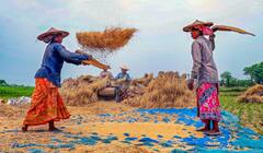 West Bengal Weather: আপাতত বর্ষা নয় দক্ষিণবঙ্গে! তবে শীঘ্রই আসছে বৃষ্টি! কোন কোন জেলায়?