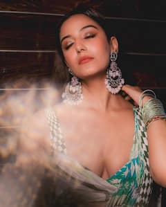 Srishty Rode: સાડી લૂકમાં ખૂબ જ સુંદર લાગે છે ટીવીની આ એક્ટ્રેસ, જુઓ તસવીરો