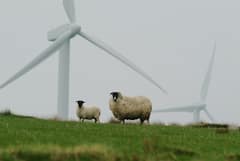 ​Global Wind Day क्यों मनाया जाता है? भविष्य के लिए बड़े काम की है ये बात