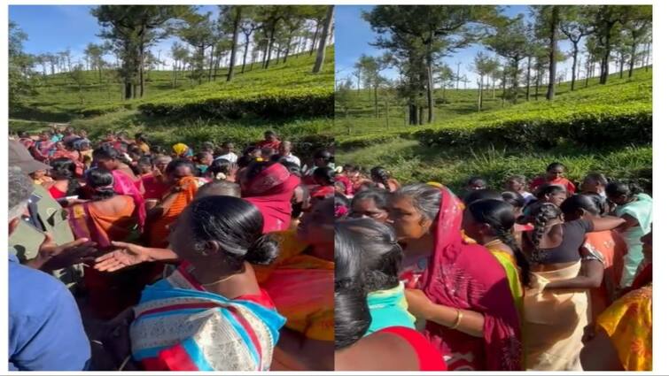 manjolai people expecting from tamilnadu government orders கண்ணீருடன் பிரியா விடை! வெளியேறும் இறுதி நேரத்திலாவது துயர் துடைக்குமா அரசு: எதிர்பார்ப்பில் மாஞ்சோலை மக்கள்.!