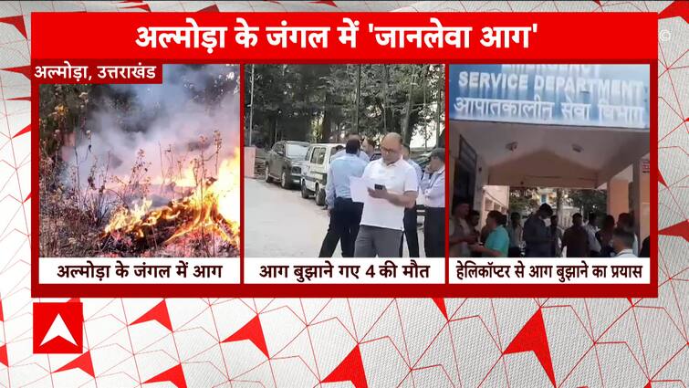 Breaking Information: Almora Forest Fireplace Turns Lethal, Outcomes In 4 Deaths | ABP Information