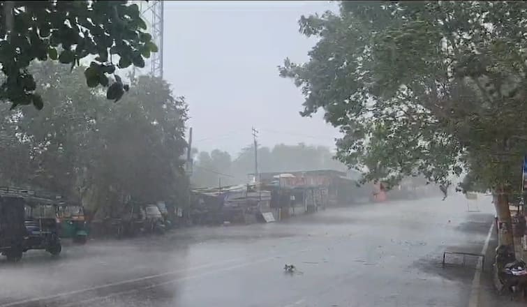 Rainfall start in Bhavnagar District   Bhavnagar Rain: ભાવનગર જિલ્લાના વાતાવરણમાં પલટો,  સિહોર અને પાલીતાણા તાલુકામાં ધોધમાર વરસાદ 