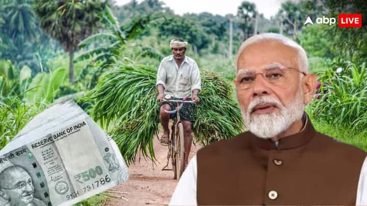 PM Kisan Samman Nidhi Yojana Next Installment: फरवरी में किसान योजना की 16वीं किस्त जारी की गई थी. अब किसानों को 17वीं किस्त का इंतजार है. चलिए जानते हैं कब जारी की जा सकती है योजना की 17वीं किस्त.