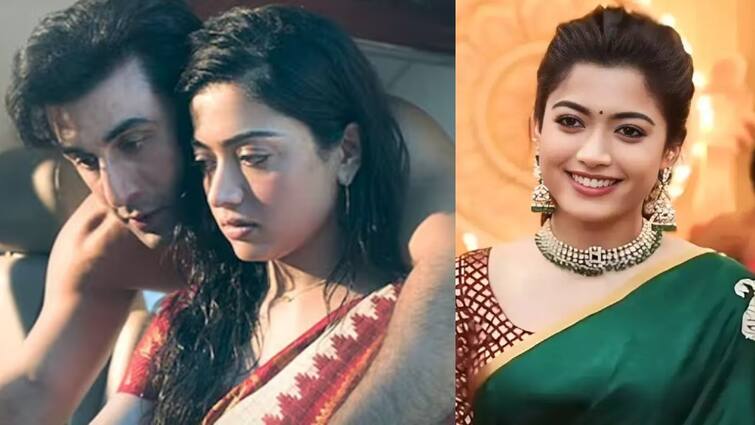 Rashmika Mandanna replies for the question raised by a fan about trusting stupid people in animal movie Rashmika Mandana : முட்டாள்களை நம்பாதீங்க.. விமர்சனத்துக்கு பதிலளித்த ராஷ்மிகா மந்தனா..