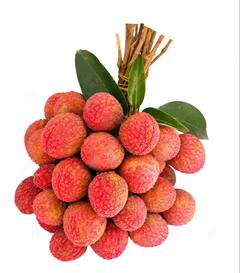 Litchi Health Benefits: ਗਰਮੀਆਂ ਵਿੱਚ ਲੀਚੀ ਖਾਣ ਦੇ ਹੈਰਾਨੀਜਨਕ ਫਾਇਦੇ, ਸਿਹਤ ਰਹੇਗੀ ਪੂਰੀ ਤਰ੍ਹਾਂ ਫਿੱਟ