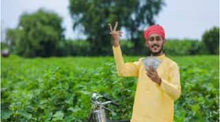 PM किसानचा 17 वा हप्ता मिळवायचाय? मग हे महत्वाचे काम आजच पूर्ण करा, अन्यथा.... 