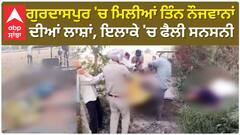 Gurdaspur News | ਗੁਰਦਾਸਪੁਰ 'ਚ ਮਿਲੀਆਂ ਤਿੰਨ ਨੌਜਵਾਨਾਂ ਦੀਆਂ ਲਾਸ਼ਾਂ, ਇਲਾਕੇ 'ਚ ਫੈਲੀ ਸਨਸਨੀ