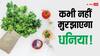 Home Tips: गर्मी के कारण फ्रिज में भी मुरझा रहा हरा धनिया तो न हो परेशान, ऐसे करें स्टोर तो रहेगा कई दिन तक फ्रेश