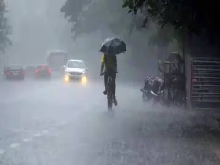 According to the forecast of the Meteorological Department  rain will fall in these seven districts of Gujarat on Friday June 17 Rain Forecast: રાજ્યના આ 7 જિલ્લામાં આજે ગાજવીજ સાથે વરસશે  વરસાદ, હવામાન વિભાગની આગાહી
