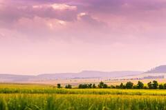 Monsoon Effect: उत्तर भारत में देर से आया मानसून तो फसलों पर क्या पड़ेगा असर?