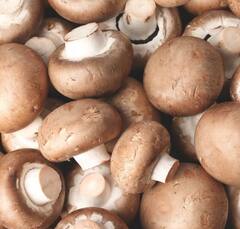 Health News: ਸ਼ਾਕਾਹਾਰੀਆਂ ਲੋਕਾਂ ਲਈ ਵਰਦਾਨ ਇਹ ਵਾਲੇ ਭੋਜਨ, Vitamin B12 ਦੀ ਕਮੀ ਨੂੰ ਕਰੋ ਪੂਰਾ