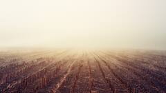 Monsoon Effect: उत्तर भारत में देर से आया मानसून तो फसलों पर क्या पड़ेगा असर?