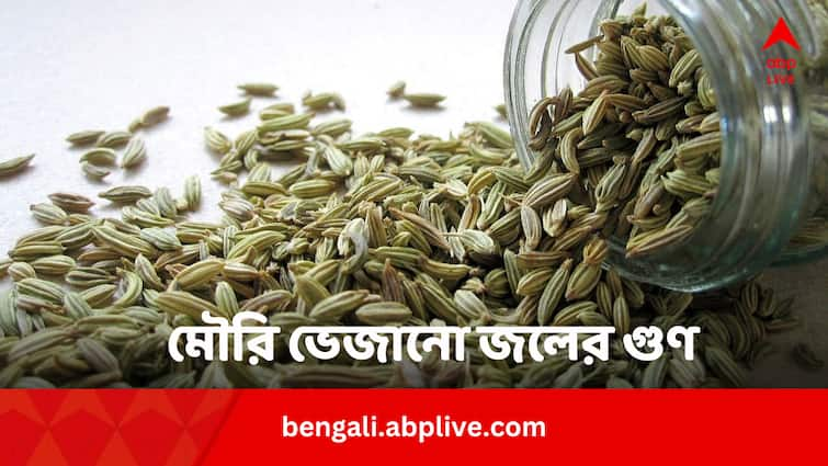 Fennel Seeds Soaked Water Benefits In Sugar Heart Health Cholesterol And Weight Loss Fennel Seeds Benefits: পেট সাফ করা ছাড়াও কঠিন রোগের সুরাহা মৌরি ভেজানো জল