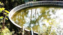 हिमाचल में भीषण गर्मी से सूख रहे प्राकृतिक जल स्रोत, शिमला में गहरा रहा जल संकट