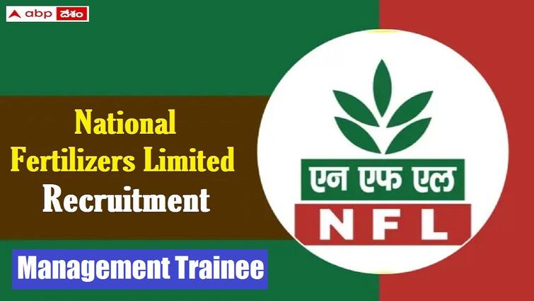 national fertilizers limited nfl has released notification for engagement of management trainee posts in various categories NFL Management Trainee Posts: నేషనల్ ఫెర్టిలైజర్స్ లిమిటెడ్‌లో 164 మేనేజ్‌మెంట్ ట్రైనీ పోస్టులు - దరఖాస్తు, ఎంపిక వివరాలు ఇలా