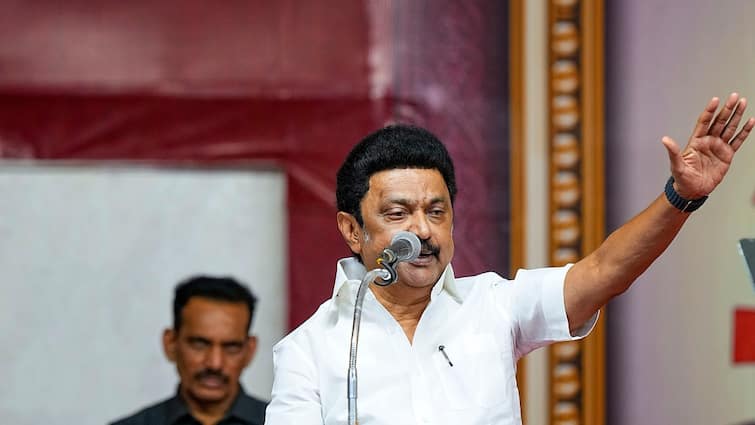 Tamil Nadu M K Stalin PM Modi INDIA bloc BJP NDA Nitish Kumar Chandrababu Naidu Lok Sabha election results Parliament TN CM Stalin Calls Lok Sabha Poll Results PM Modi's 'Defeat', Hails It As 'Historic Win' For I.N.D.I.A. Bloc