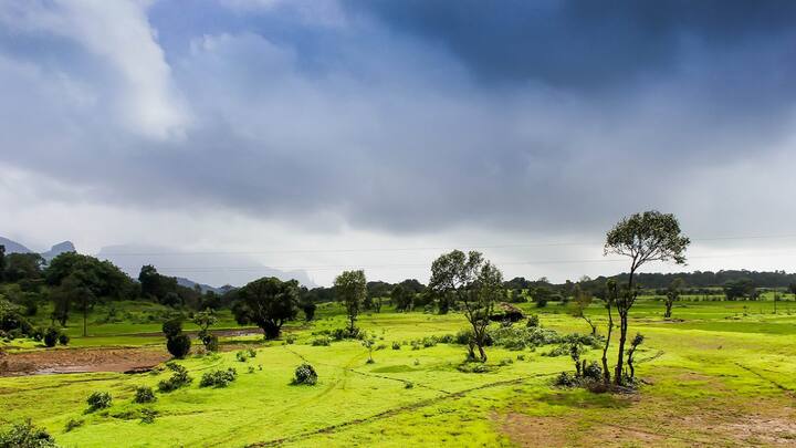 Late Monsoon Effect On Crops: उत्तर भारत में मानसून देरी से पहुंचने की संभावना है. जिसका खरीफ फसलों के उत्पादन पर नकारात्मक प्रभाव पड़ेगा.