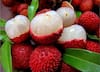 Litchi Health Benefits: ਗਰਮੀਆਂ ਵਿੱਚ ਲੀਚੀ ਖਾਣ ਦੇ ਹੈਰਾਨੀਜਨਕ ਫਾਇਦੇ, ਸਿਹਤ ਰਹੇਗੀ ਪੂਰੀ ਤਰ੍ਹਾਂ ਫਿੱਟ