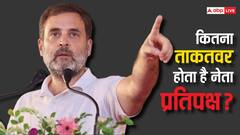 नेता प्रतिपक्ष बनाने के लिए 10 फीसदी सांसद की जरूरत क्यों, कितना पावरफुल होता है लोकसभा में विपक्ष का नेता?