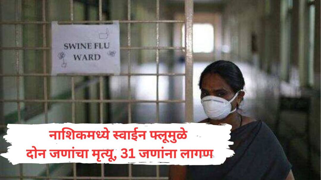 Nashik News Dengue followed by swine flu in Nashik Simultaneous increase in dengue and flu patients in the city Nashik News : नाशिकमध्ये डेंग्यू पाठोपाठ स्वाईन फ्लूचा बळी; शहरात एकाचवेळी डेंग्यू आणि फ्लू रुग्णांमध्ये वाढ