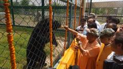 IN Pics: सीएम योगी ने गोरखपुर में चिड़ियाघर का किया दौरा, भालू को खिलाया आइसक्रीम, देखें तस्वीरें