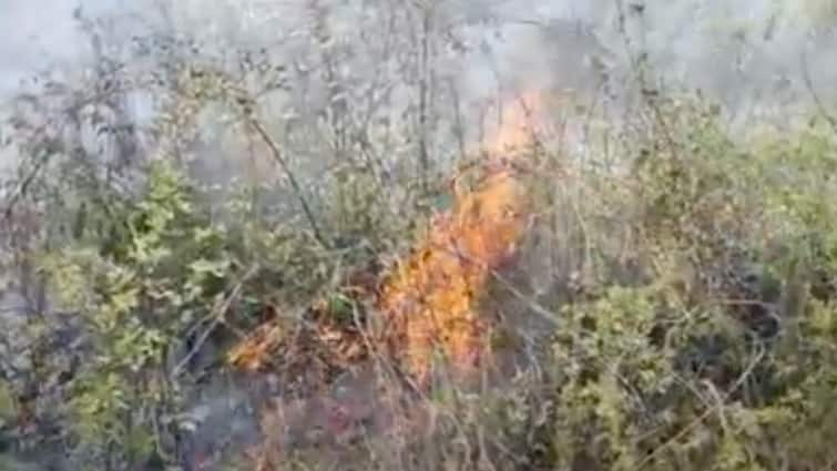 Uttarakhand Fire broke out in the forests near Dhumanganj near Mussoorie Guru Nanak School ann मसूरी के जंगलों में अचानक लगी आग, कड़ी मशक्कत के बाद फायर ब्रिगेड की गाड़ियों ने पाया काबू