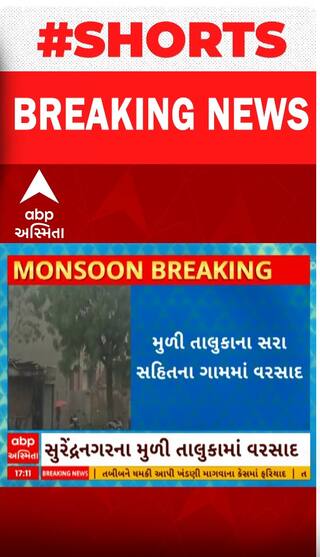 Surendranagar |  ભારે પવન સાથે વરસાદ વરસતા વાતાવરણમાં પ્રસરી ઠંડક