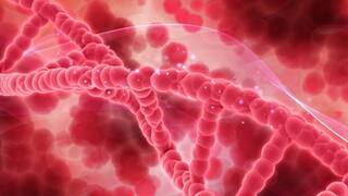 हमारे शरीर के लिए क्यों जरूरी हैं प्लेटलेट्स, डेंगू के अलावा किन बीमारियों में खतरा