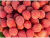 Litchi Health Benefits: ਗਰਮੀਆਂ ਵਿੱਚ ਲੀਚੀ ਖਾਣ ਦੇ ਹਨ ਗਜਬ ਫਾਇਦੇ, ਸਿਹਤ ਰਹੇਗੀ ਇਕਦਮ ਫਿੱਟ