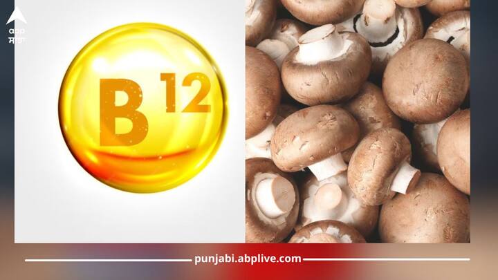 Vitamin B12: ਵਿਟਾਮਿਨ ਬੀ12 ਸਾਡੇ ਸਰੀਰ ਲਈ ਜ਼ਰੂਰੀ ਪੌਸ਼ਟਿਕ ਤੱਤ ਹੈ। ਇਹ ਤੰਤੂ ਪ੍ਰਣਾਲੀ ਦੇ ਕੰਮਕਾਜ ਵਿੱਚ ਮਹੱਤਵਪੂਰਣ ਭੂਮਿਕਾ ਅਦਾ ਕਰਦਾ ਹੈ ਅਤੇ ਲਾਲ ਖੂਨ ਦੇ ਸੈੱਲਾਂ ਦੇ ਗਠਨ ਵਿੱਚ ਵੀ ਮਦਦਗਾਰ ਹੁੰਦਾ ਹੈ।