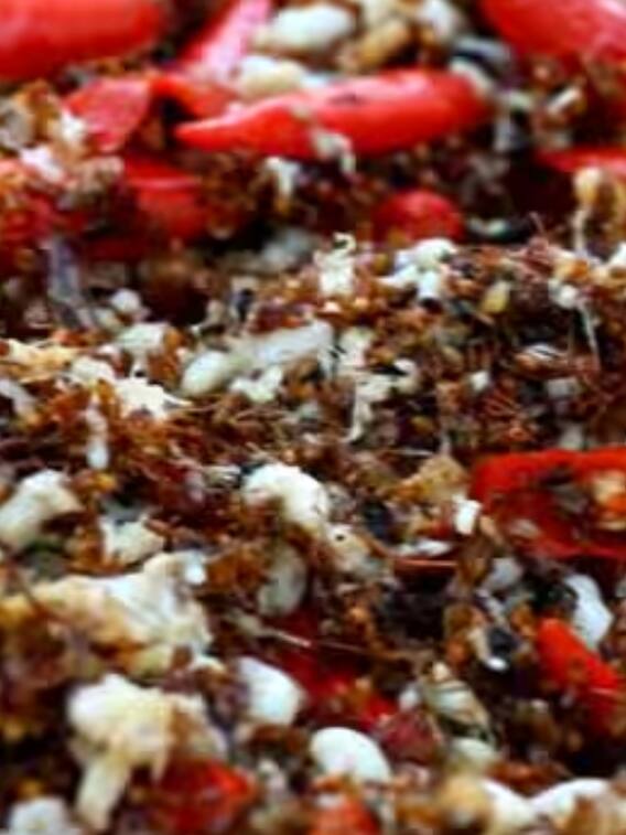 भारत में यहां लोग खाते हैं चींटी की चटनी