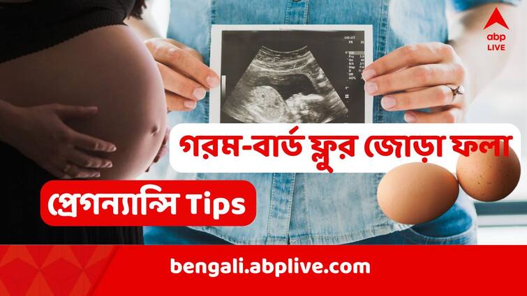 Pregnancy tips on hot humid summer Bird flu situation diet during pregnancy general health tips by SSKM Gynecologists Obstetricians abpp Pregnancy Tips in Summer: প্রবল গরমের দোসর বার্ড ফ্লু আশঙ্কা! অন্তঃসত্ত্বারা খেয়াল রাখবেন কী কী? জানাচ্ছেন চিকিৎসক