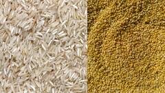 Kitchen Tips : மளிகை பொருட்களில் வண்டு அரிக்காமல் இருக்கணுமா? டிப்ஸ் இதோ!