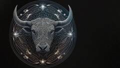 Zodiac Sign: কঠোর পরিশ্রম ও সবসময় ঝুঁকি নিতে প্রস্তুত, তাই সাফল্যের মুখ দেখে এই ৪ রাশি